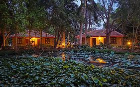 Tiger Trails Resort